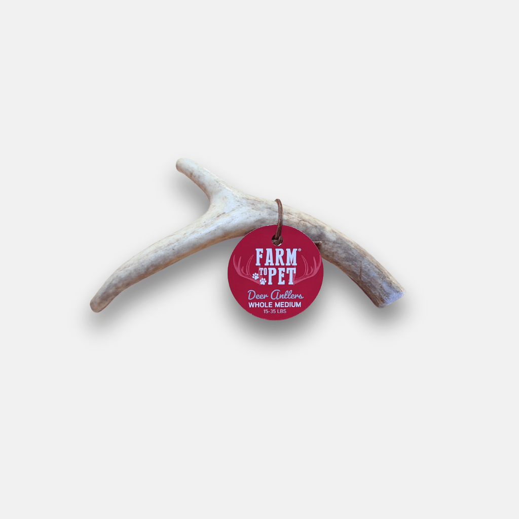 Deer Antler Dog Chew