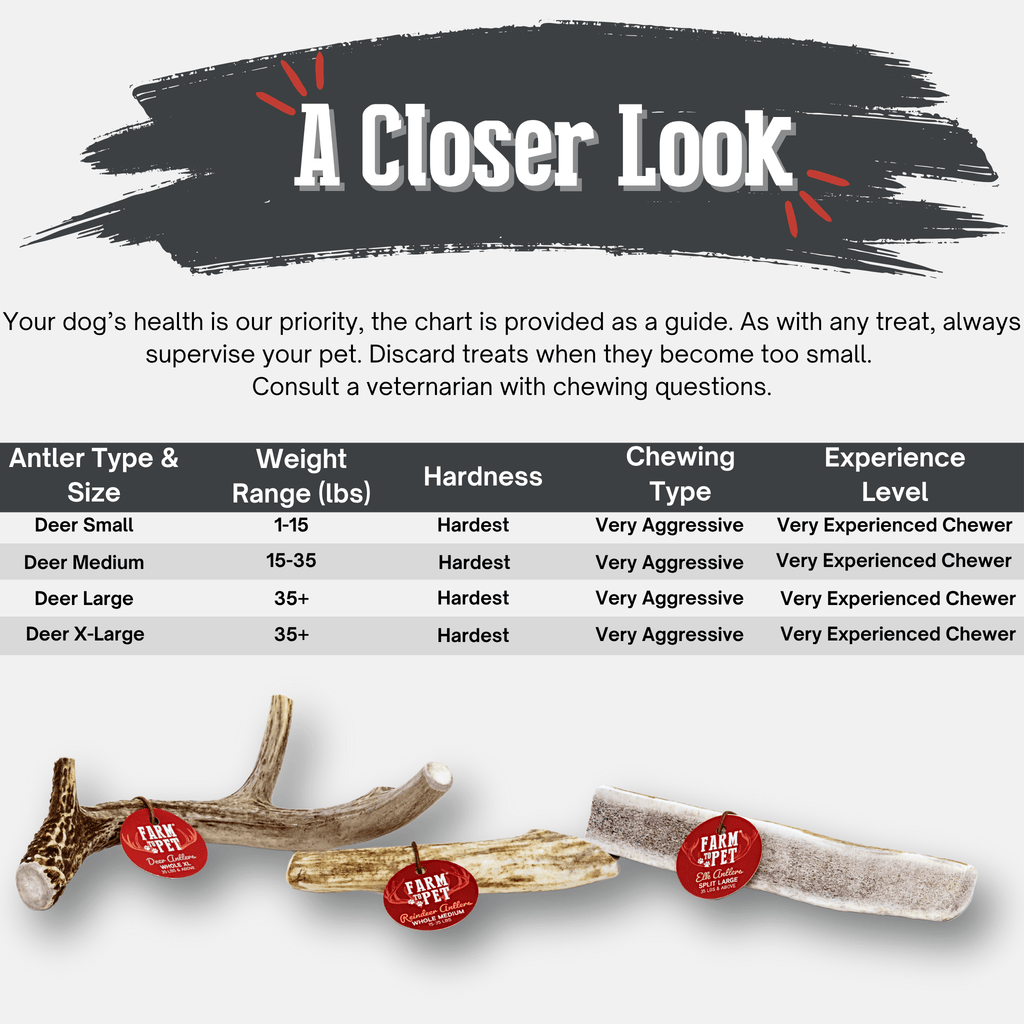 Deer Antler Dog Chew