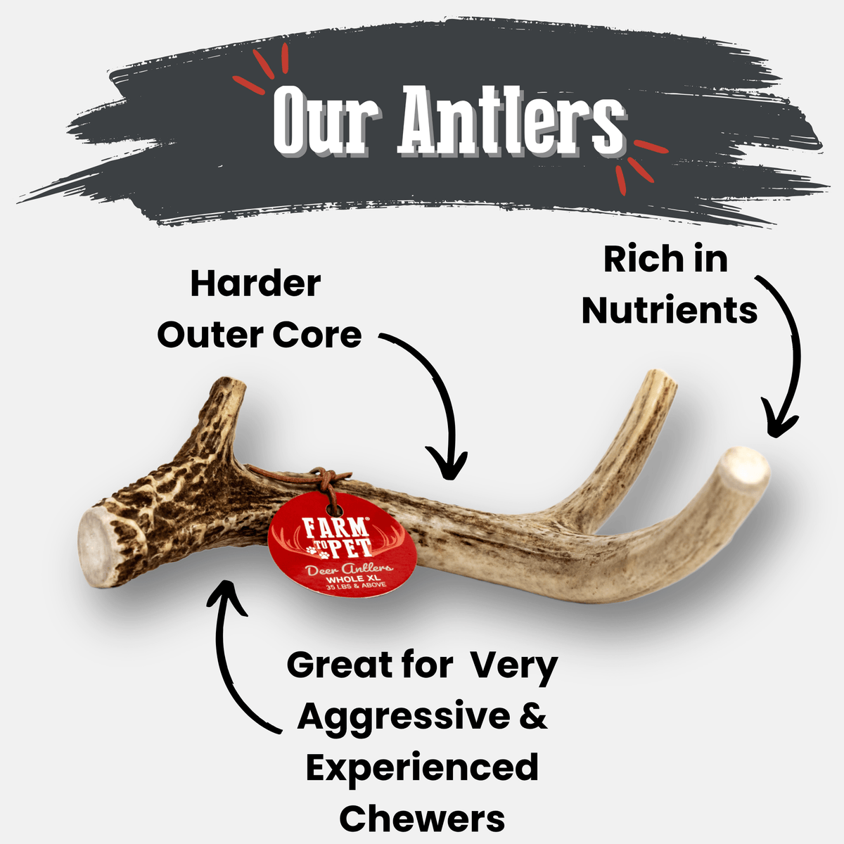 Deer Antler Dog Chew