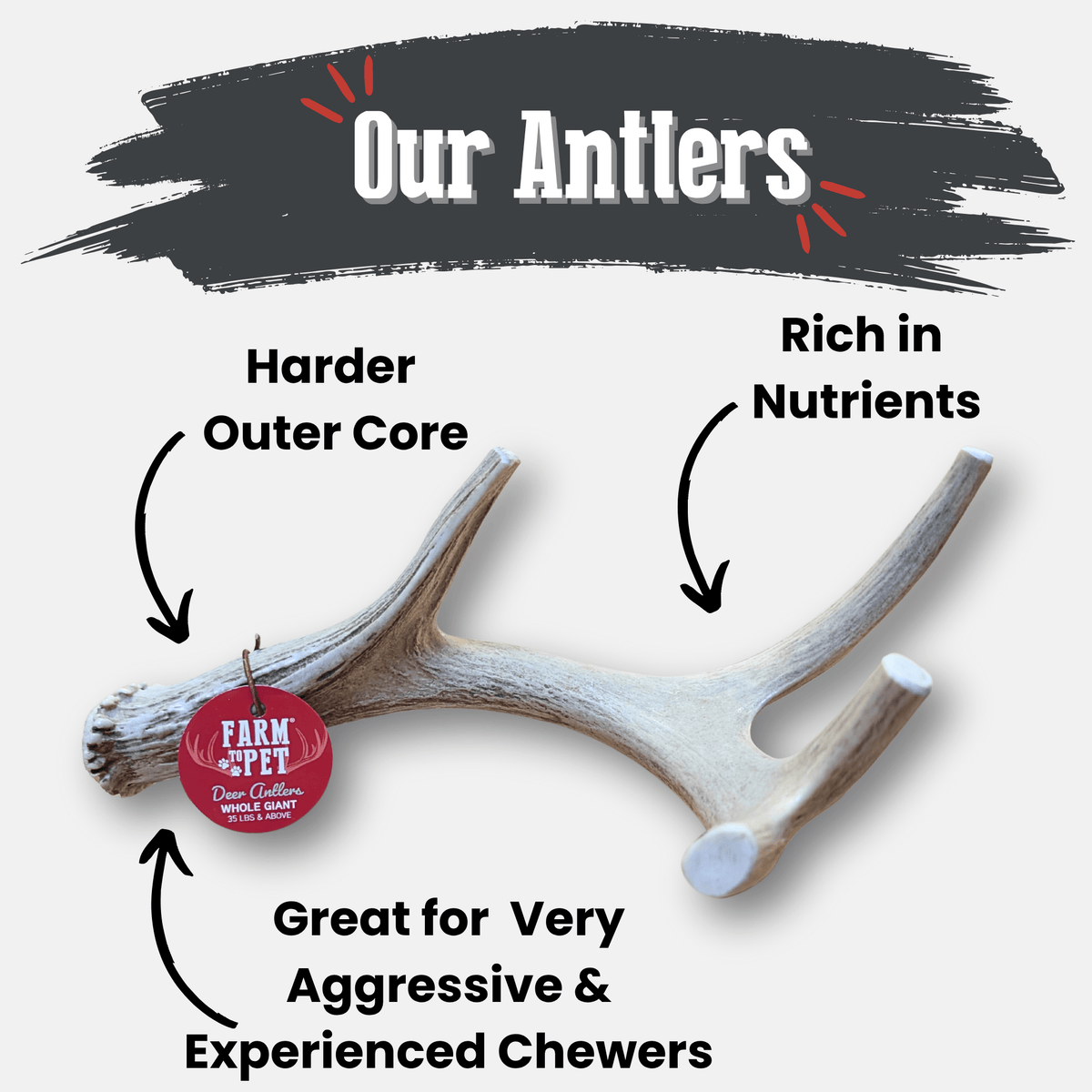 Deer Antler Dog Chew