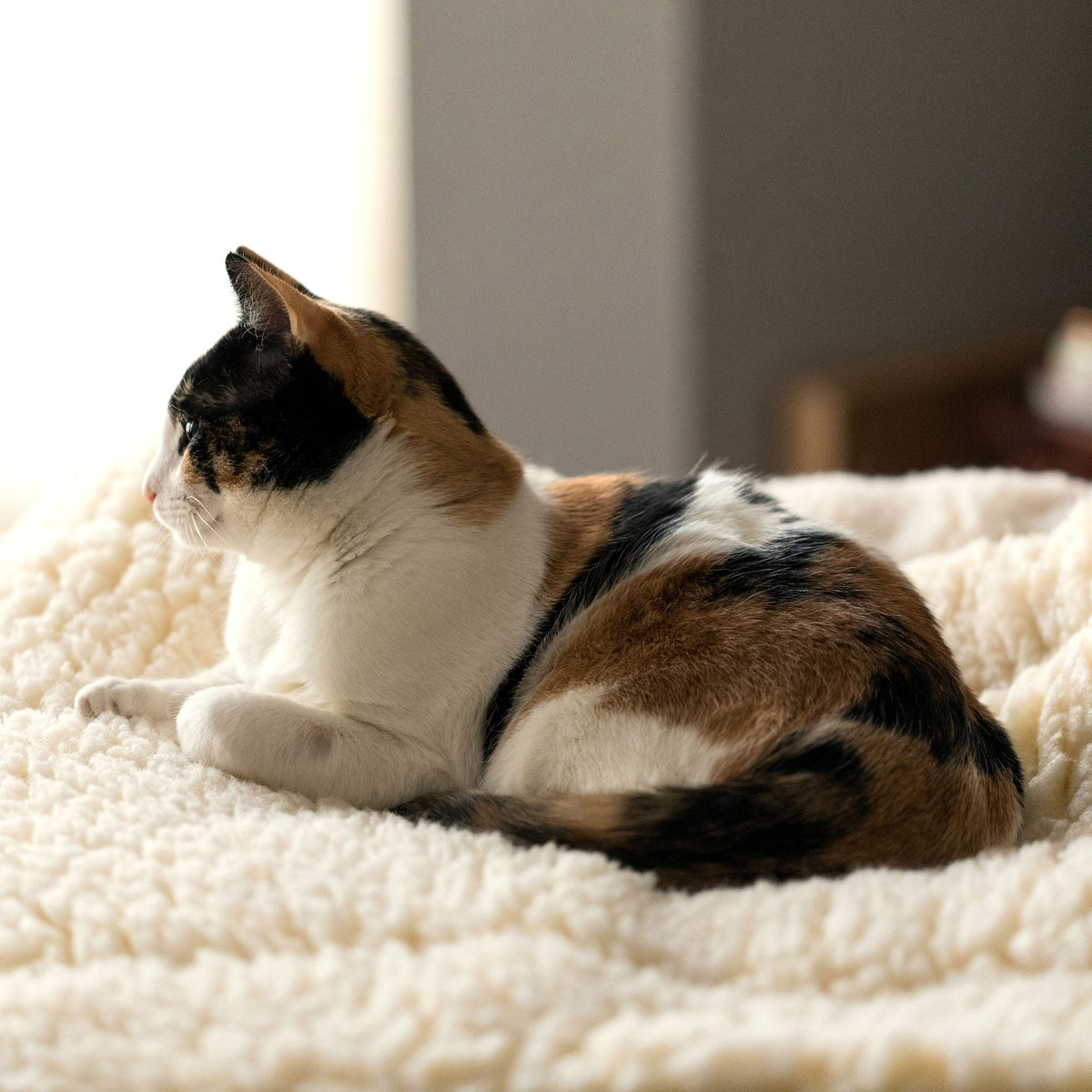 HuggleFleece Mat Bed