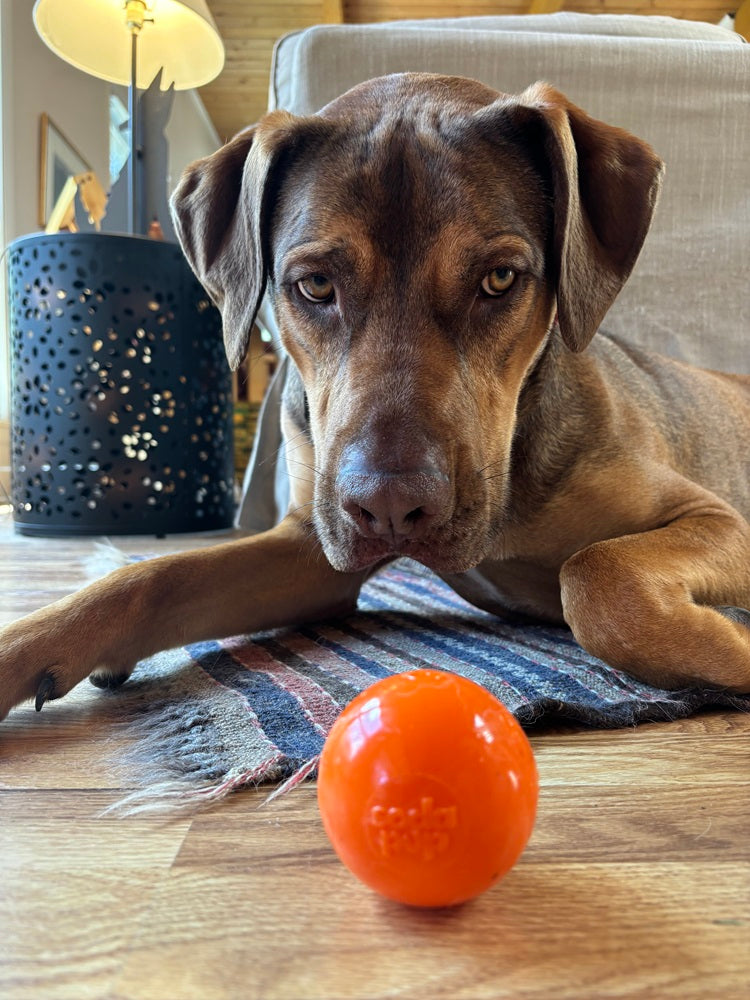 Floating Squeak Ball