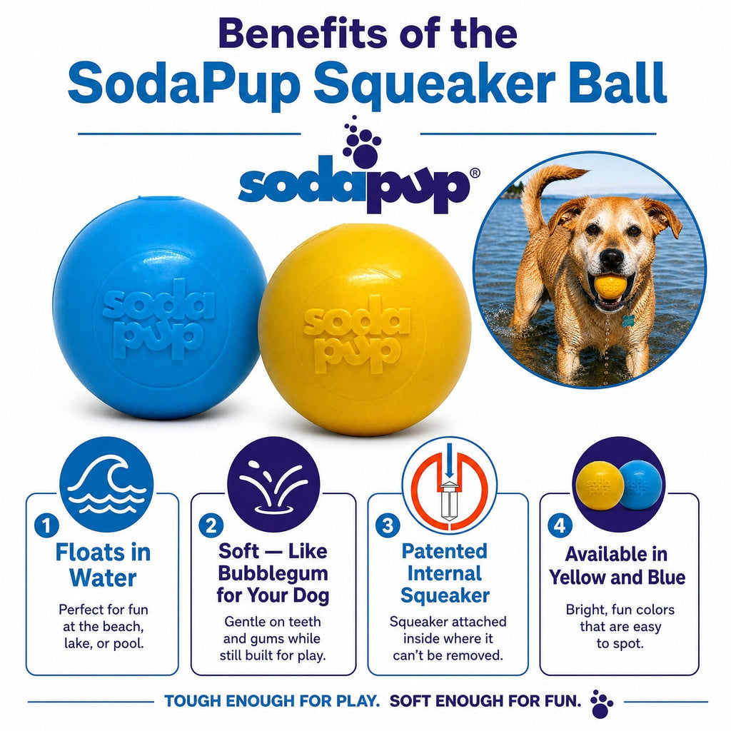 Floating Squeak Ball