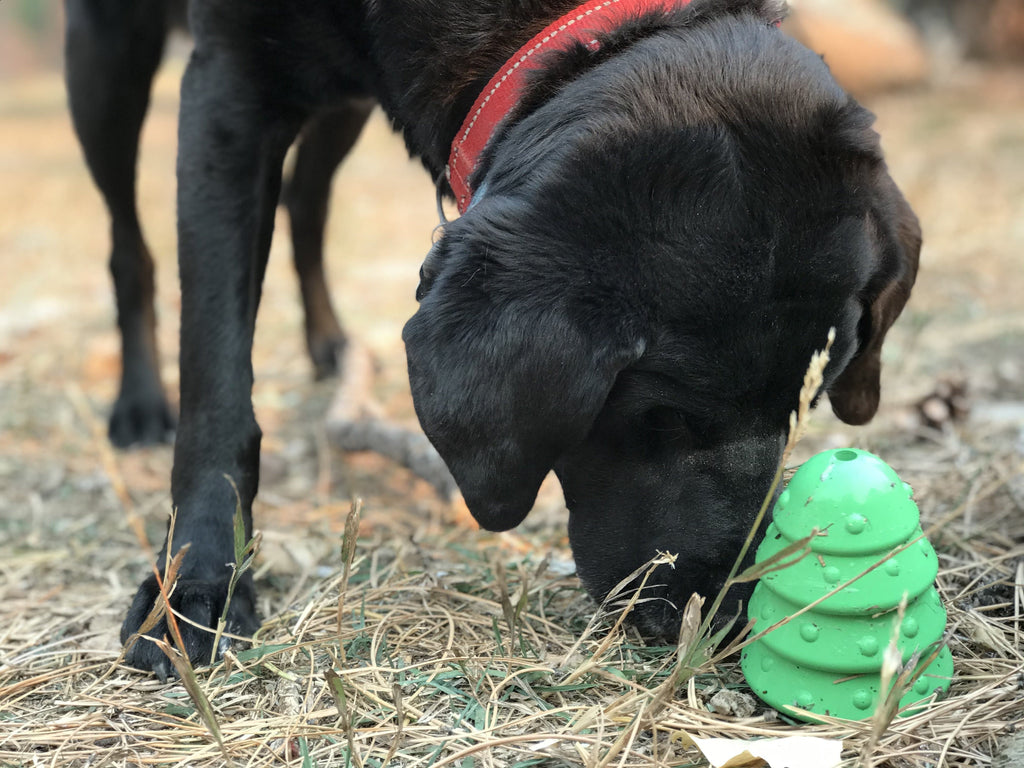 Christmas Tree Treat Toy